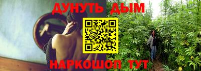 mdpv Боровичи