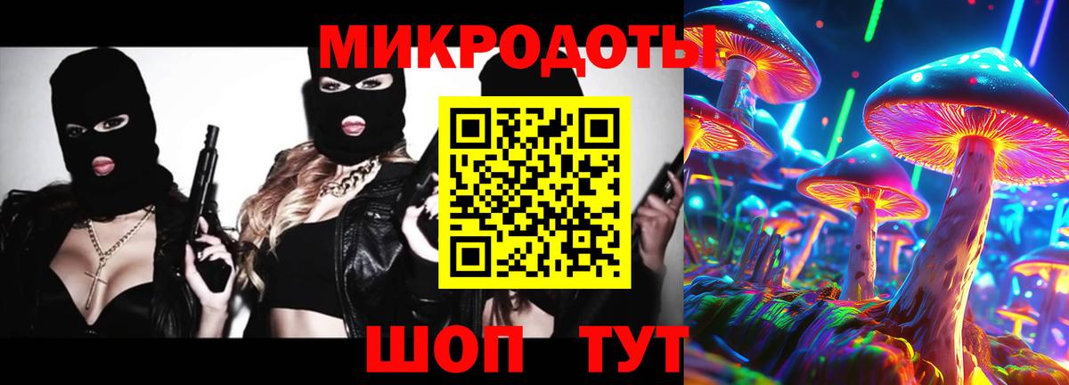 Галлюциногенные грибы Psilocybe Кизляр